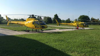Két sárga Mókussal bővül a honvédség helikopterflottája