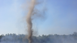 Porördögöt szült a tűz Somogy megyében
