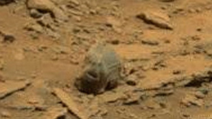 Ön elhiszi, hogy valódi a Marson talált földönkívüli koponya?