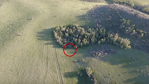 Drónos videó buktatta le a feltételezett jetit