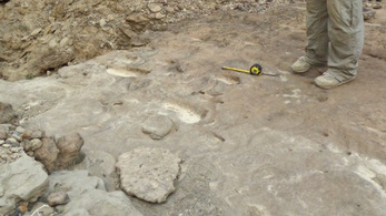 800 ezer éves lábnyomokat találtak régészek