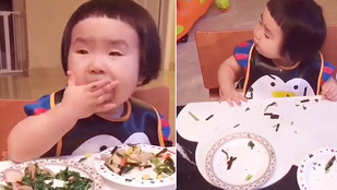 Vannak gyerekek, akik igenis megeszik a zöldséget!Videó a csodáról: gyerek, aki önként zöldséget fal