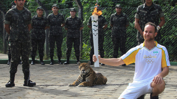 Agyonlőtték a riói olimpiához előrángatott jaguárt