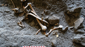 Újabb csontvázakat találtak Pompejiben