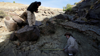 Óriási dinoszaurusz-lábnyomot találtak Bolíviában