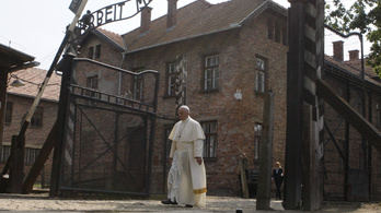 Ferenc pápa egyedül meditált az auschwitzi szent halálkamrájában