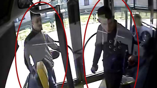 Két férfiból kijött az agresszív a 214-es buszon