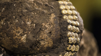 7. századi kislány koponyáját találták meg Debrecen mellett