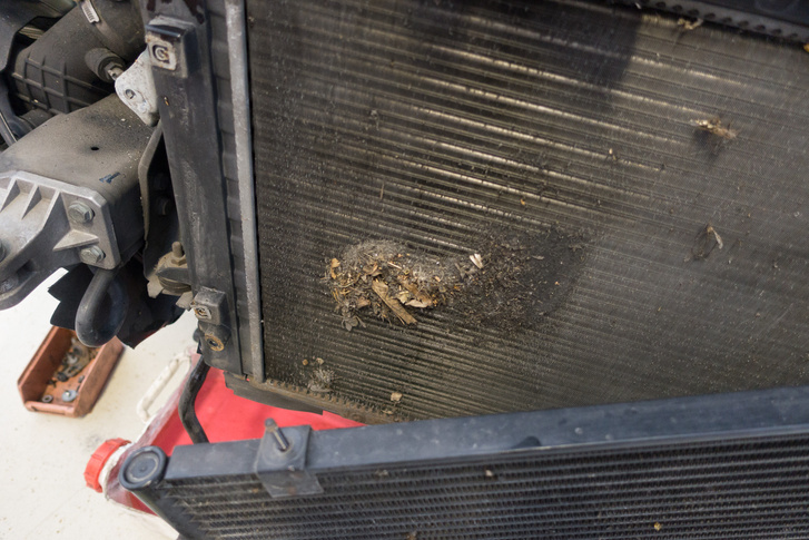 Szerelő Zoli üzeni: sokan azzal nyírják ki az autójuk motorját, hogy soha nem tisztíttatják ki a motorhűtő radiátort