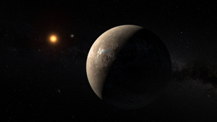 A Földhöz hasonló bolygót találtak a szomszédban