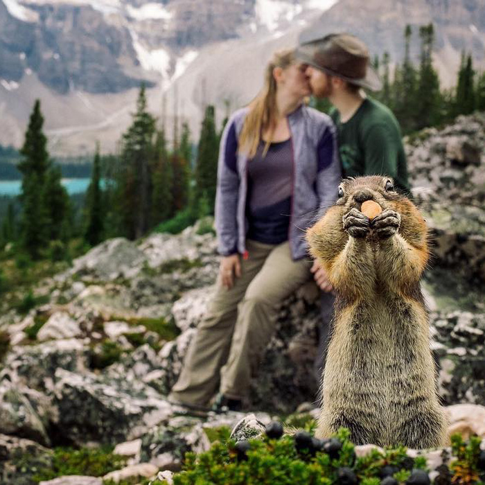 Egy mókus trollkodta szét a szerelmes fotót