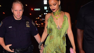 De ki ez a férfi, akivel Rihanna kézen fogva andalog?