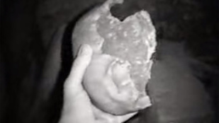 Hátborzongató videó készült egy csontvázakkal teli katakombákban eltűnt férfiról