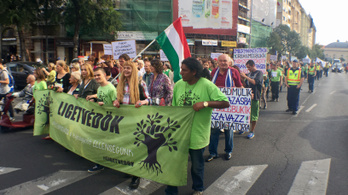 A budapesti fakivágások ellen tiltakoznak