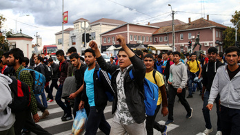 Újvidékig sem jutottak a magyar határ felé tartó migránsok