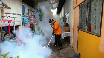 Ázsiában is terjedhet a zikavírus