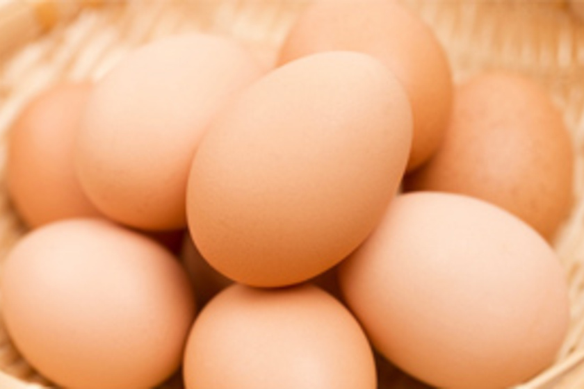 A tojásallergia 13 biztos tünete