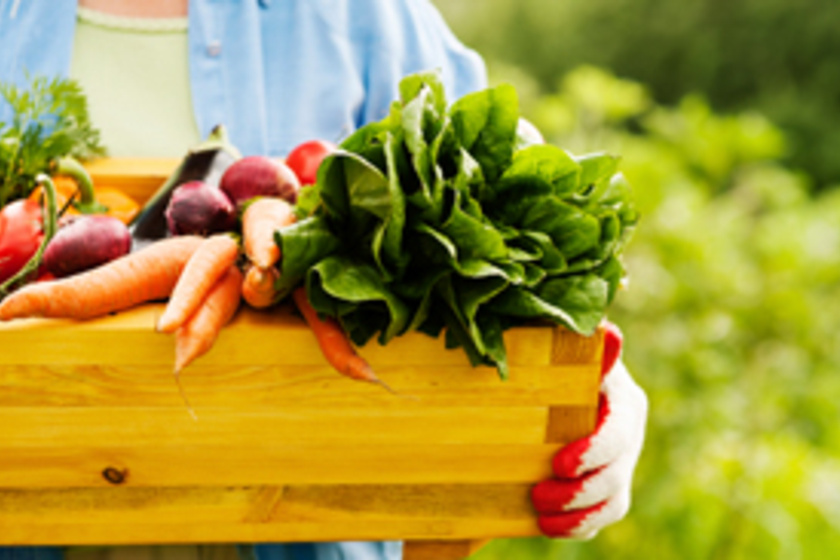 Tényleg érdemes biozöldséget venned? A szakértő elárulja