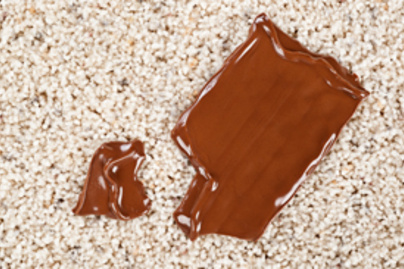 Szőnyegre vagy laminált padlóra esett a csoki? Az 5 másodperces szabály működése