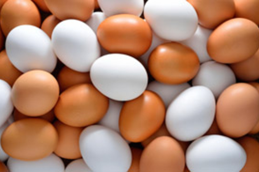 A tojás szavatossága: meddig jó nyersen, és meddig főtten?