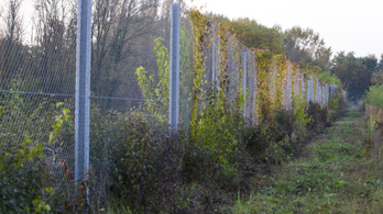 A magyar kerítést szép lassan benövi a gaz