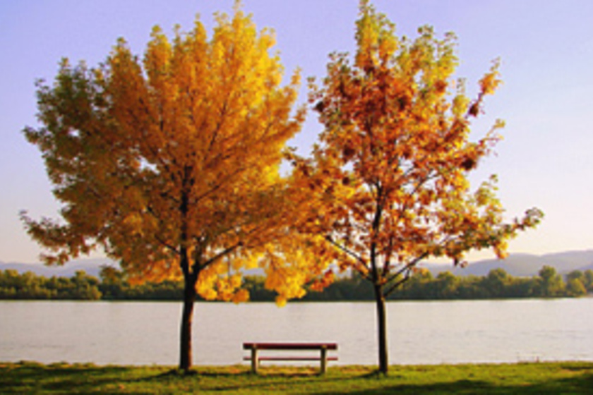 Hol a leggyönyörűbb az ősz az országban?