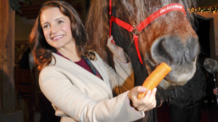 Charlotte York Goldenblatt, a ló és egy répa története