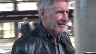 Harrison Ford plüssmackót küldött a budapesti kávézónak