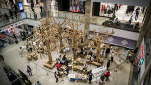 A Hello Wood erdőt növesztett a bevásárlóközpontban