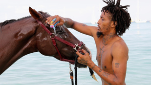 Most pedig meghívjuk önt egy lófürdetésre Barbadosra