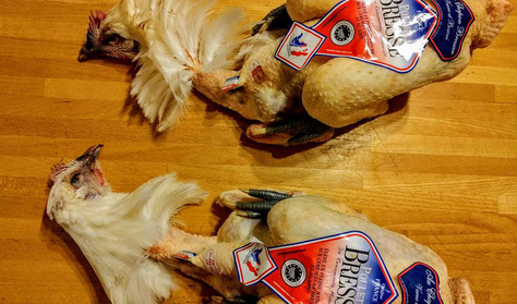 Kipróbáltuk, mit tud a világ legdrágább csirkéje, a bresse-i