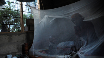 Félresiklott a malária elleni világprogram