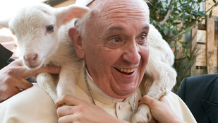 Még egy okkal több, hogy nagyon szeressük Ferenc pápát