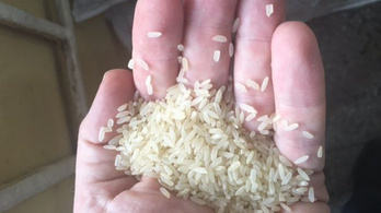 Két és fél tonna, állítólag műanyagból készült rizst próbáltak eladni Nigériában