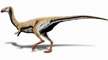 Félig húsevő, félig vega dinoszauruszfajt fedeztek fel