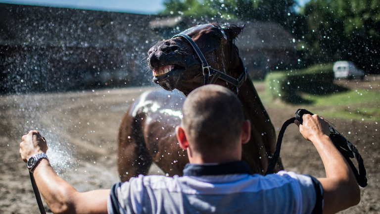 Csodaló nélkül a büszkeség tartja életben a magyar lóversenyt