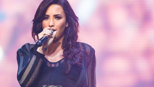 Demi Lovato ketrecharcos pasit váltott