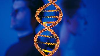 CRISPR – a genetika forradalma