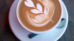 Gyors kérdés: Mennyibe kerül USA legdrágább kávéja?