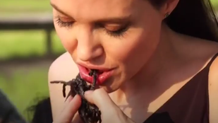 Angelina Jolie pókot eszik