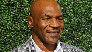 Mike Tyson tigrise „nyugdíjba ment” - többek között azért, mivel letépte egy ember karját