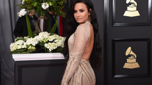 Demi Lovato 1%-ban afrikai, ezt büszkén bejelentette, a nép meg szétszedte