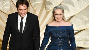 Meryl Streep végül Elie Saab ruhában ment az Oscarra