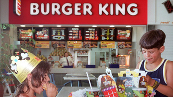 Leleplező drónfelvételek a Burger Kingről: erdőirtással készül a hamburger