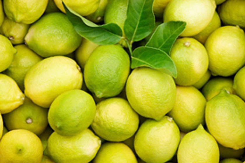 Diétázz citrommal: 10 kiló mínusz egy kúra alatt! | kriszvisz.hu