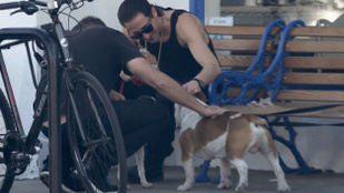 A kutyasétáltató Adrien Brody látványán nehéz túltenni magunkat