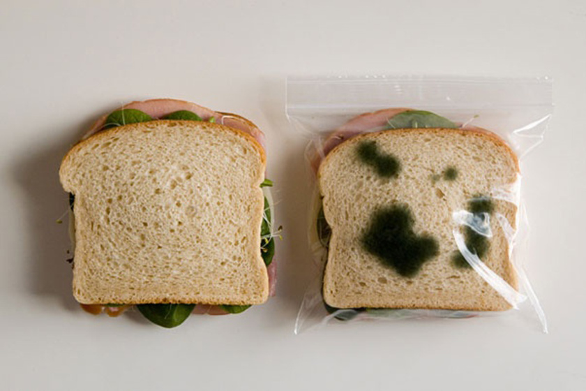 Ilyen egy lopásgátló szendvicszacskó - Ezek a találmányok nemcsak viccesek, de hasznosak is