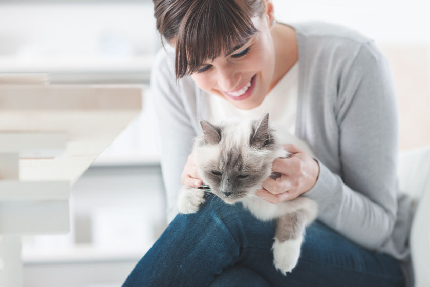 Skizofréniát okoz a macskatartás? A kutatók már biztos választ tudnak rá