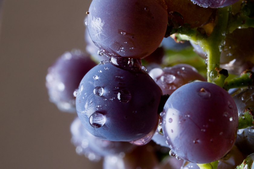 Mi történik, ha mosatlan gyümölcsöt eszel? 