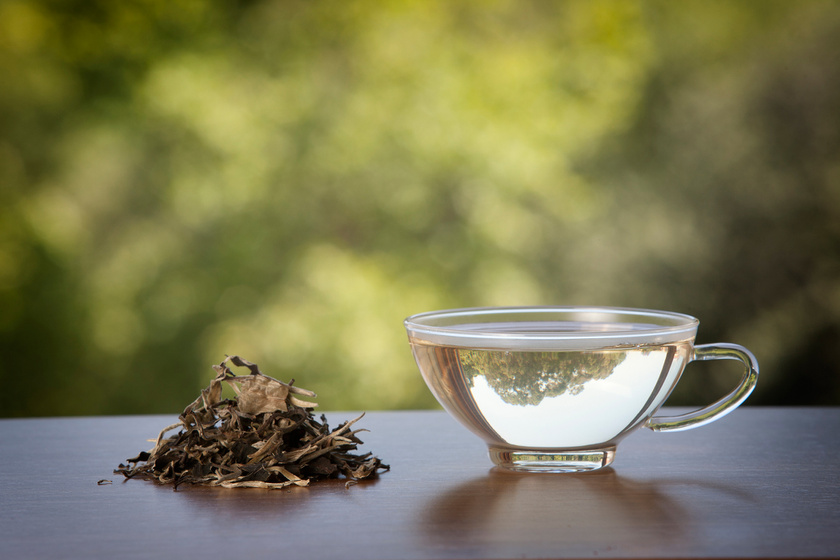 7 finom tea, ami duplájára növeli a zsírleadást - Egyszerűen beszerezhetőek
